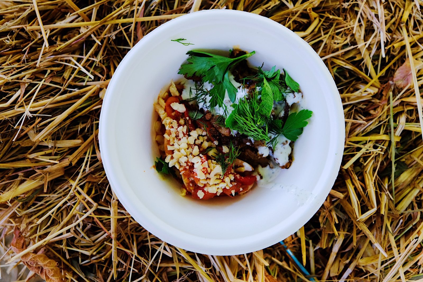 João Guedes - prato vegetariano gourmet - shawarma de cogumelos, baba ganoush e molho de iogurte 