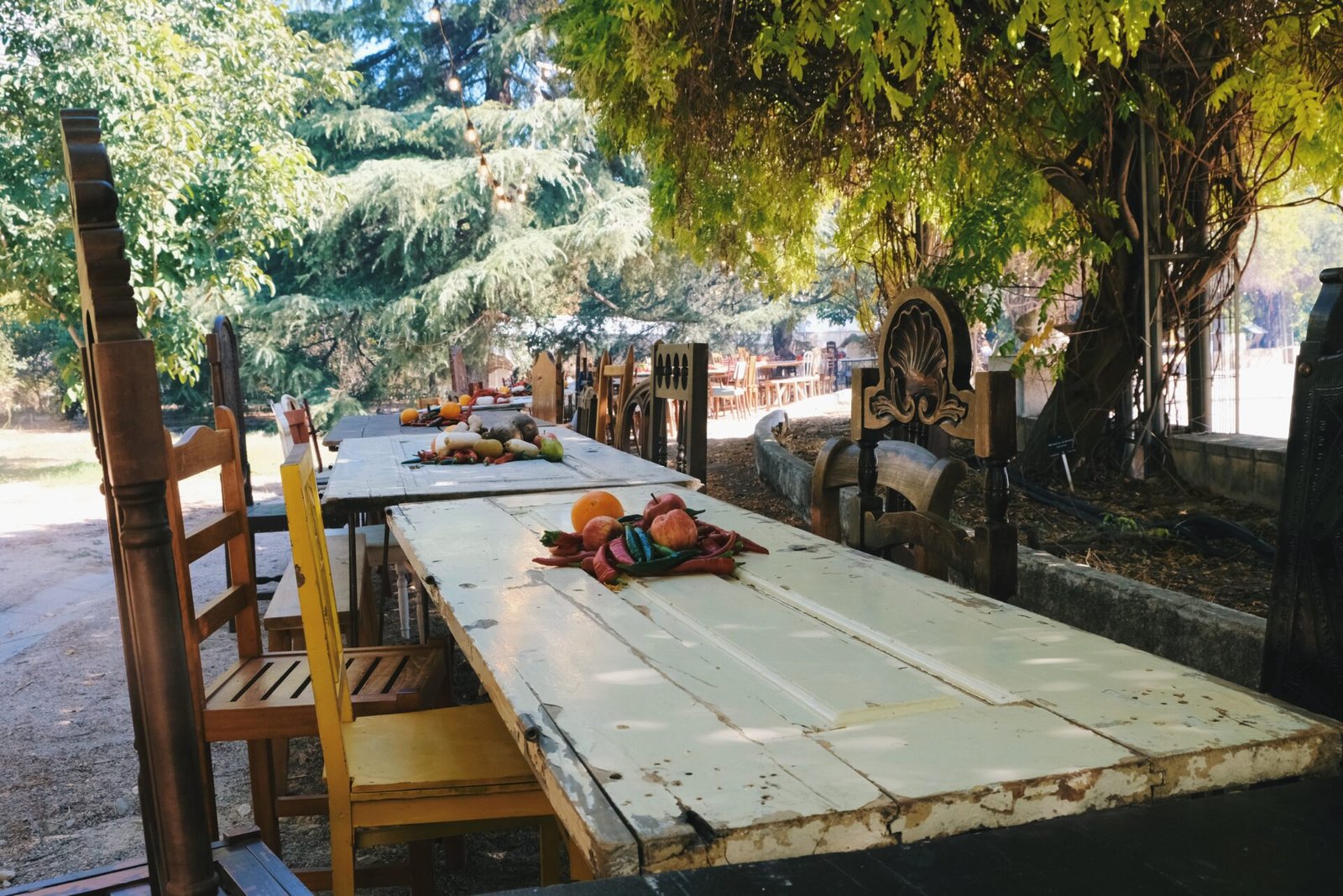 Chefs on Fire Madrid