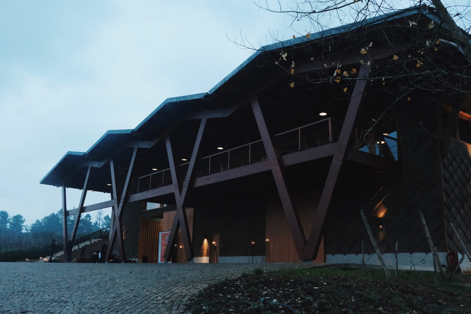 The Mushroom Edit: Vinhos, Cogumelos e Tradições do Dão