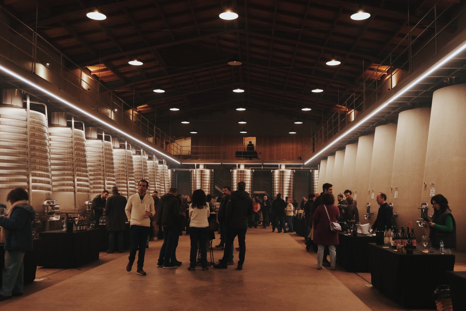 The Mushroom Edit 2025 Quinta da Taboadella